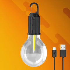 Portable USB Rechargeable Multi-Use Bulb Robykart